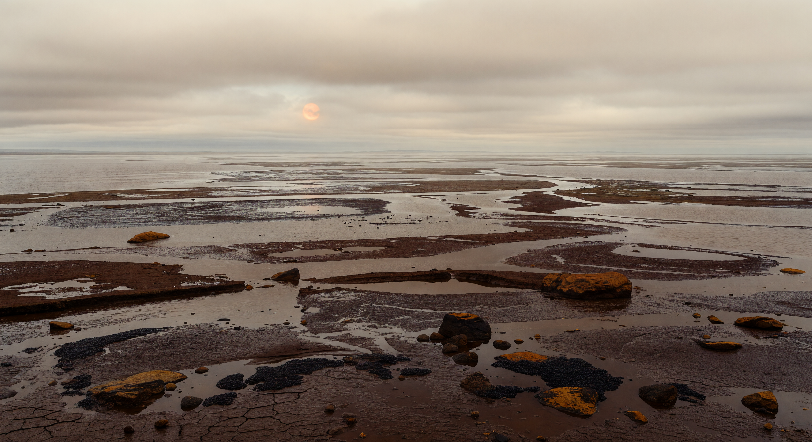 Marais des mers intérieures