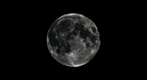 Phoebé