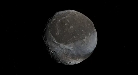 Proteus